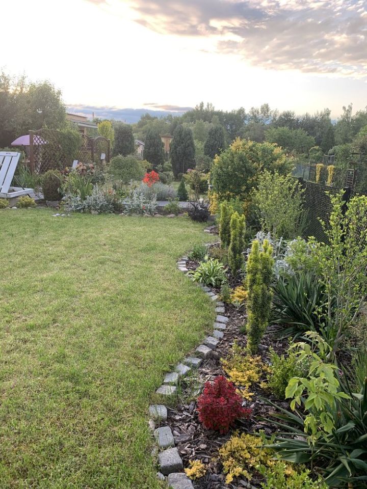 Działka rod Gliwice Sośnica. Zdjęcie 3