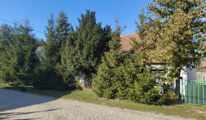 dom wolnostojący, 5 pokoi Dębno