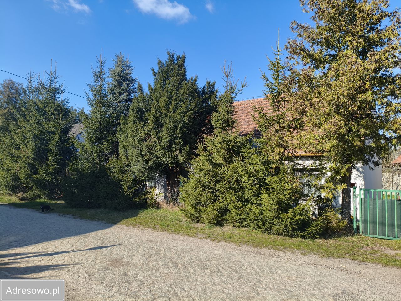 dom wolnostojący, 5 pokoi Dębno. Zdjęcie 2