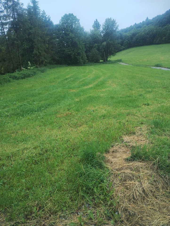 Działka budowlana Cisownica. Zdjęcie 5