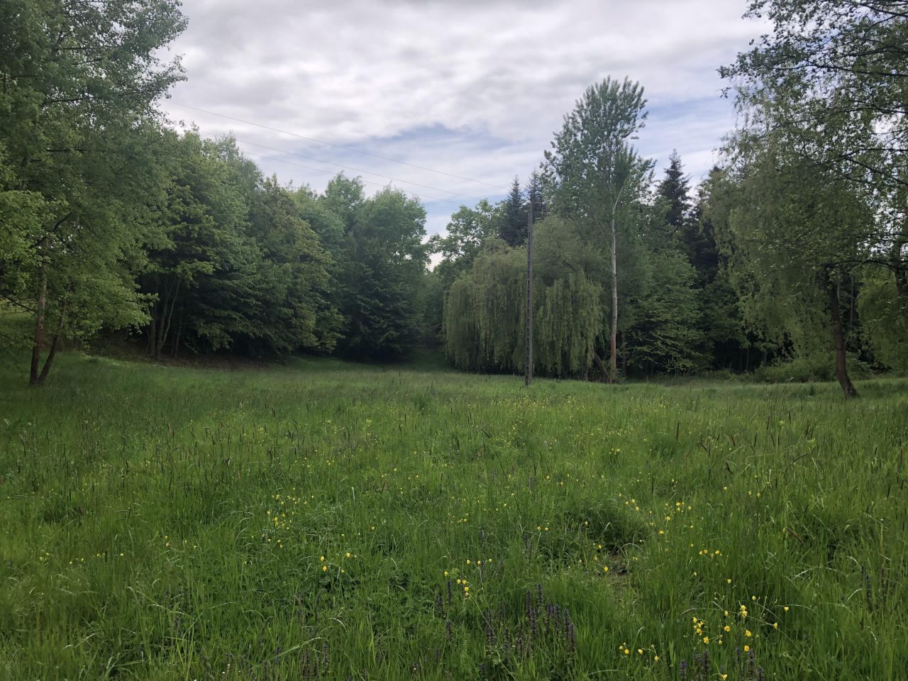 Działka inna Glinik Charzewski, Glinik Charzewski. Zdjęcie 5