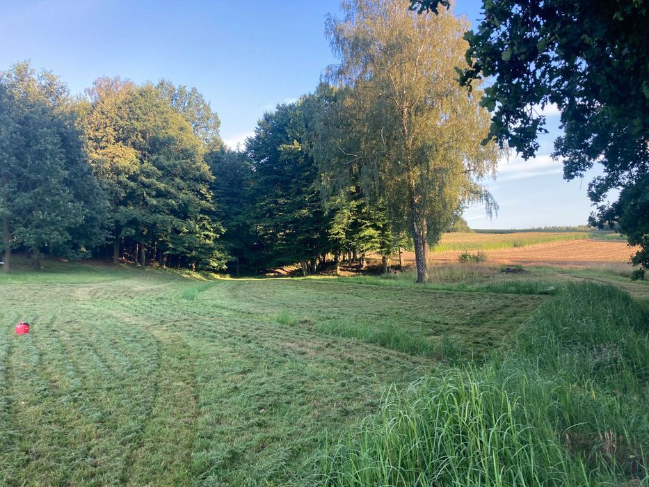 Działka budowlana Stara Wieś. Zdjęcie 6