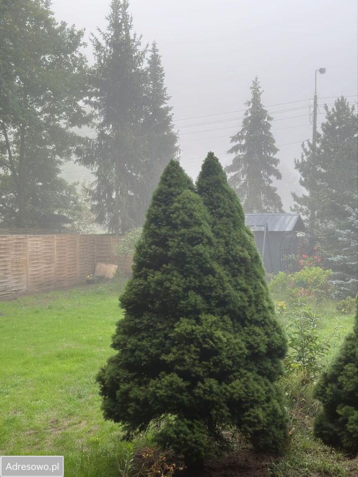 bliźniak, 3 pokoje Rynia. Zdjęcie 2