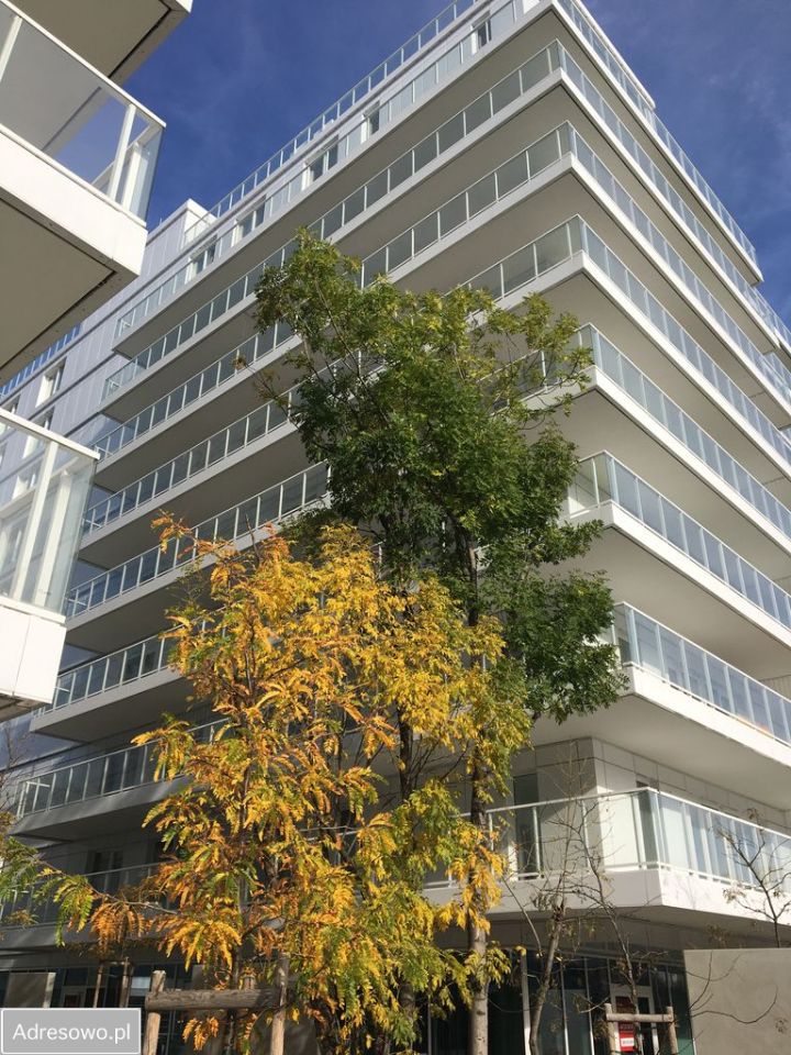 Mieszkanie 2-pokojowe Wrocław Śródmieście, ul. Księcia Witolda. Zdjęcie 9