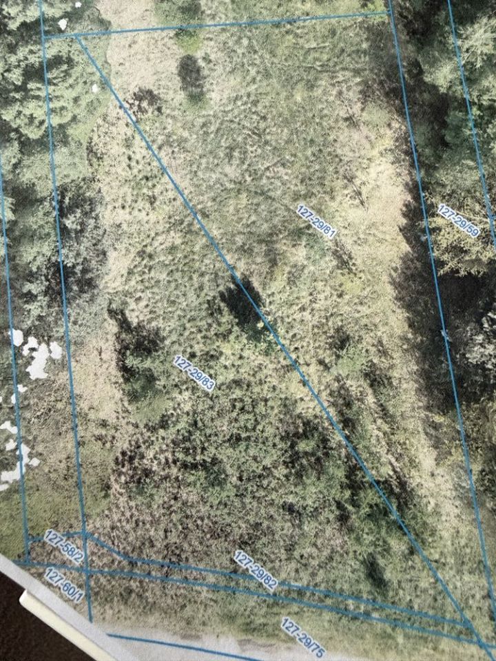 Działka rolno-budowlana Grabianów. Zdjęcie 1