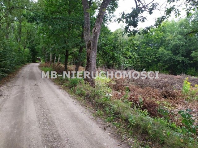 Działka siedliskowa Mątki. Zdjęcie 1