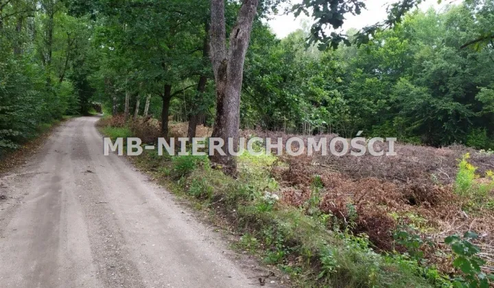 Działka siedliskowa Mątki