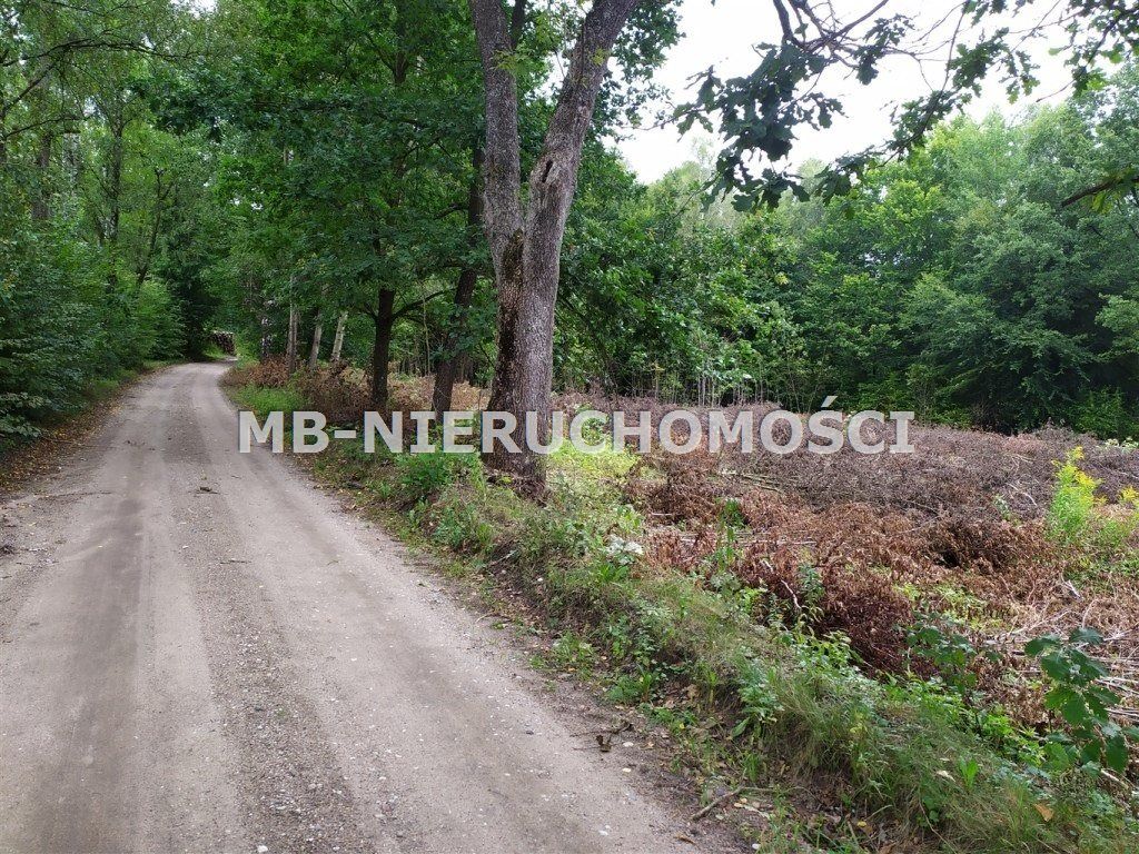 Działka siedliskowa Mątki. Zdjęcie 1