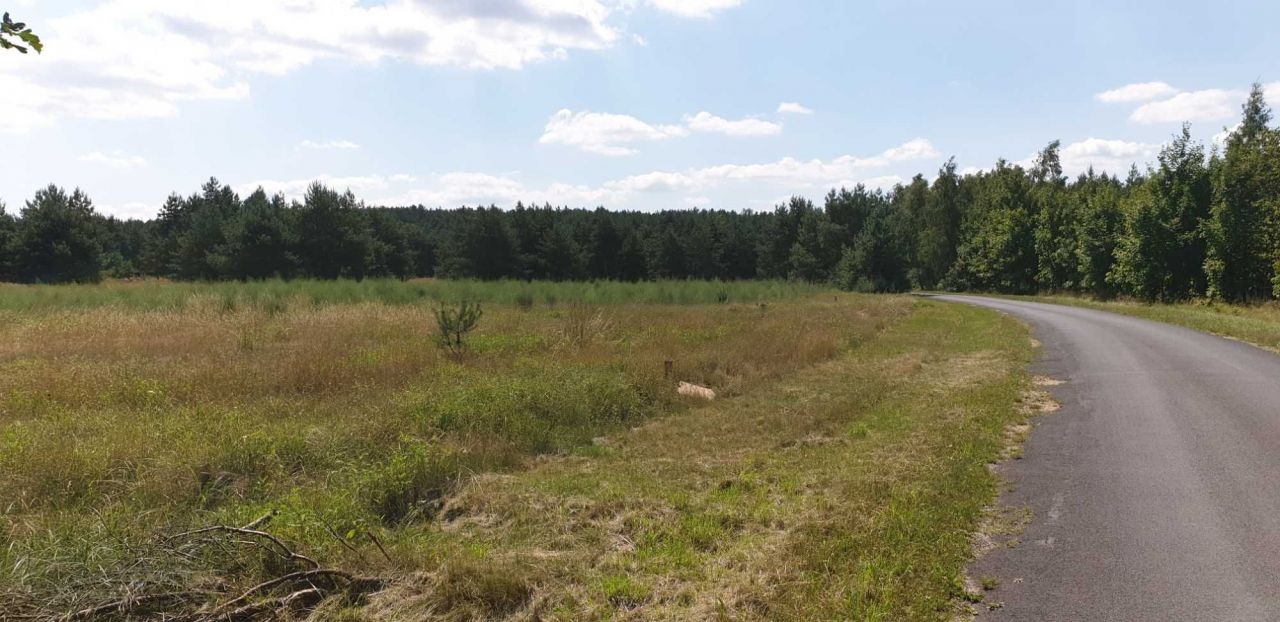 Działka budowlana Roztoki. Zdjęcie 4