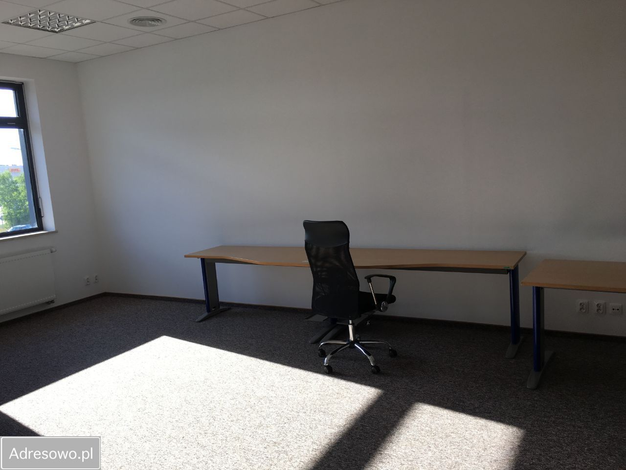 Lokal Piaseczno. Zdjęcie 4