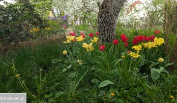 dom wolnostojący, 5 pokoi Góra, ul. Jana Kochanowskiego