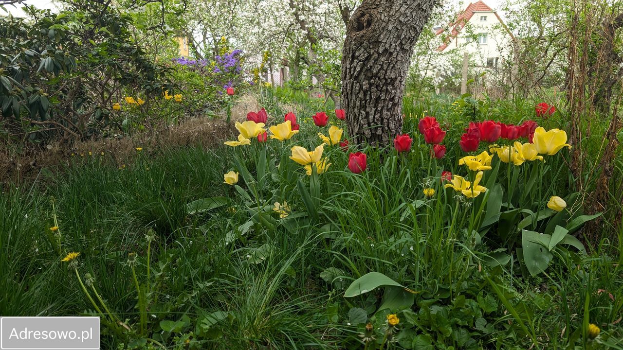 dom wolnostojący, 5 pokoi Góra, ul. Jana Kochanowskiego. Zdjęcie 2