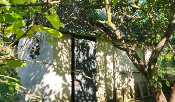 Działka rod Działdowo Działki, ul. Romana Dmowskiego