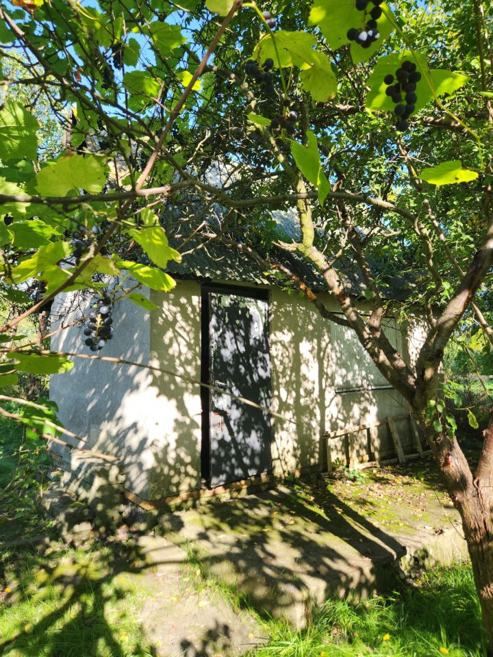 Działka rod Działdowo Działki, ul. Romana Dmowskiego. Zdjęcie 2