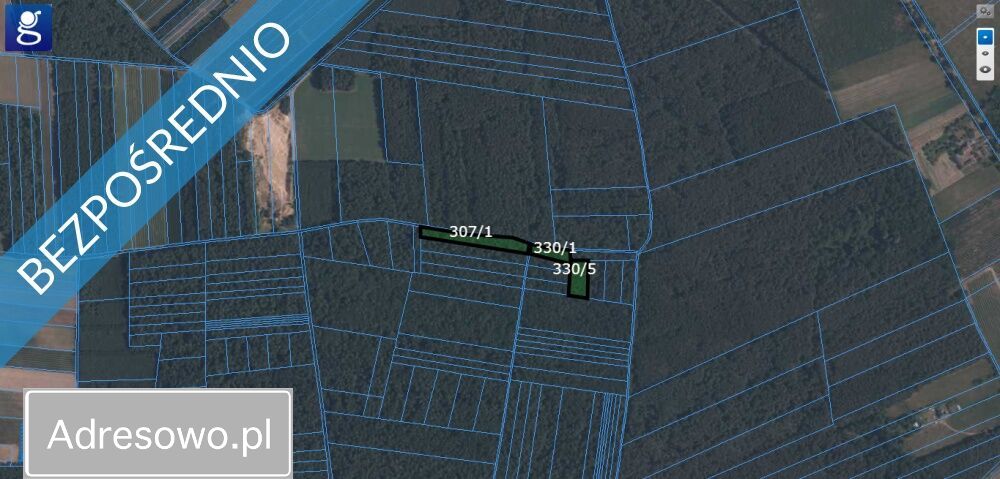 Działka leśna Terlików. Zdjęcie 3