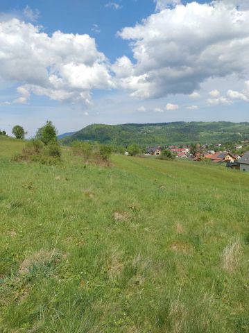 Działka rolna Świnna. Zdjęcie 1