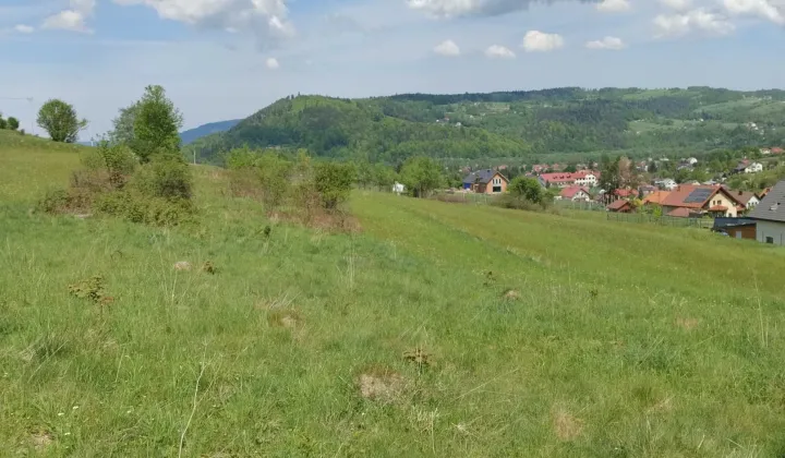 Działka rolna Świnna