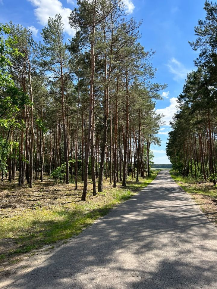 Działka budowlana Grzybowo. Zdjęcie 16