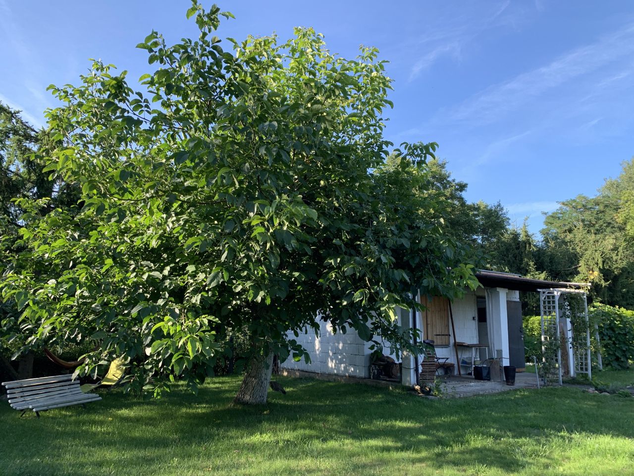 Działka rekreacyjna Kalisz Tyniec, ul. Łódzka