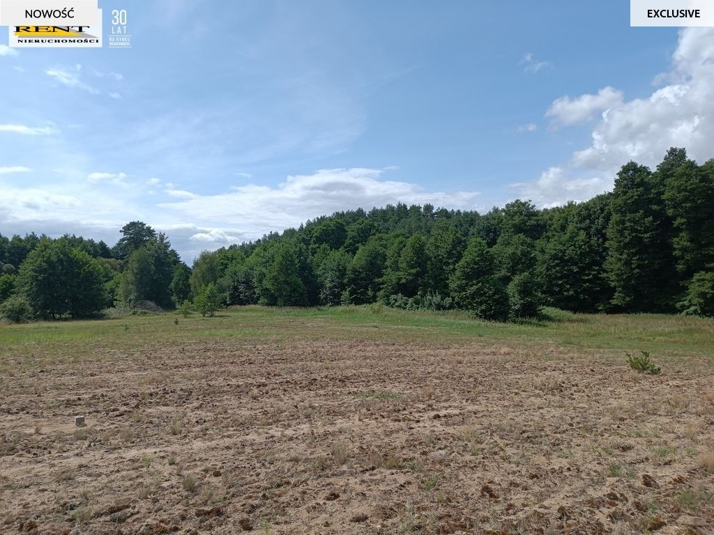 Działka rolna Długie. Zdjęcie 5