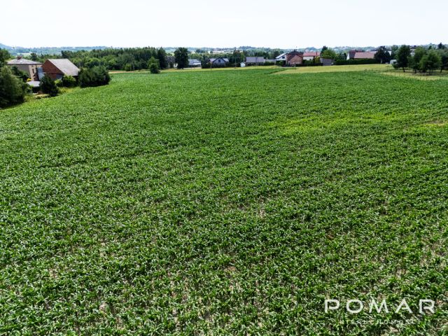 Działka budowlana Łuków Śląski, ul. Wolności. Zdjęcie 6