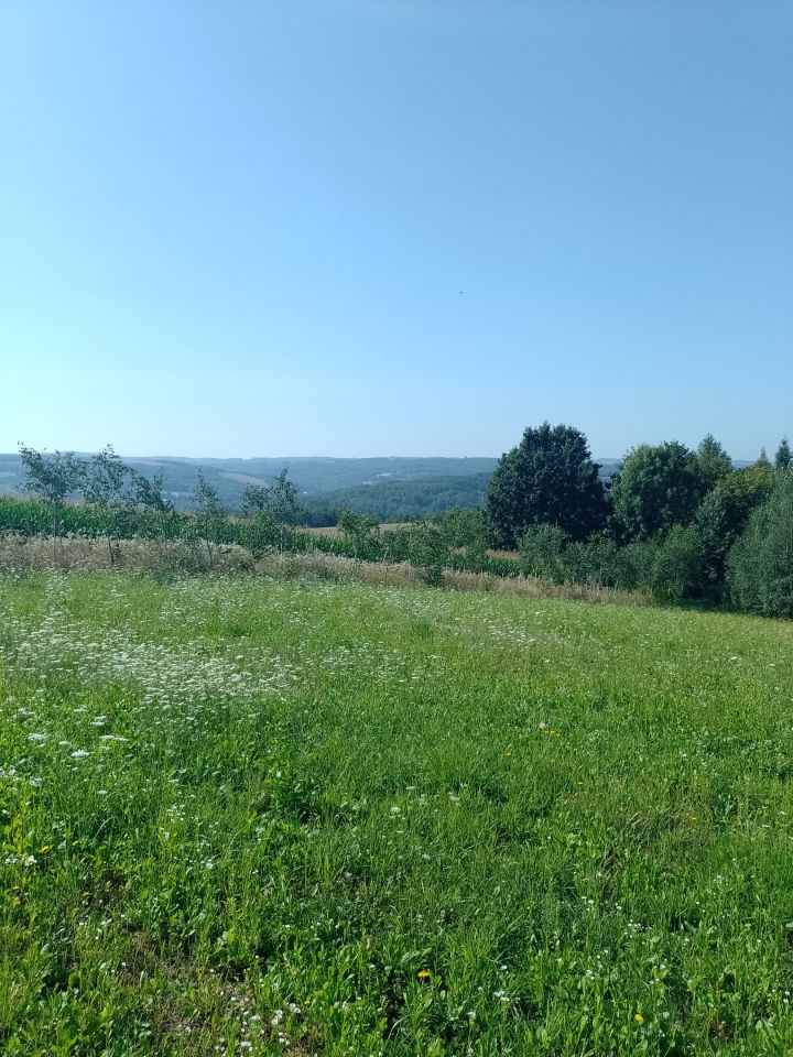 Działka budowlana Manasterz Niewaźka. Zdjęcie 4