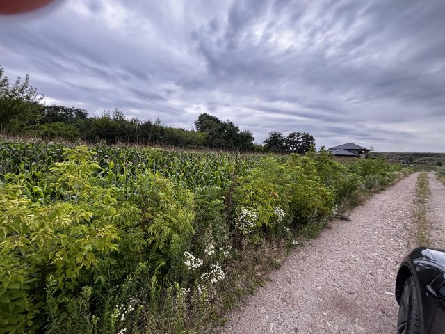 Działka budowlana Teresin, ul. Sarnia. Zdjęcie 1