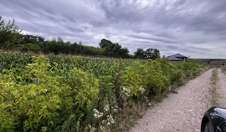 Działka budowlana Teresin, ul. Sarnia