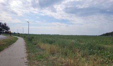 Działka inwestycyjna Grodzisk Wielkopolski