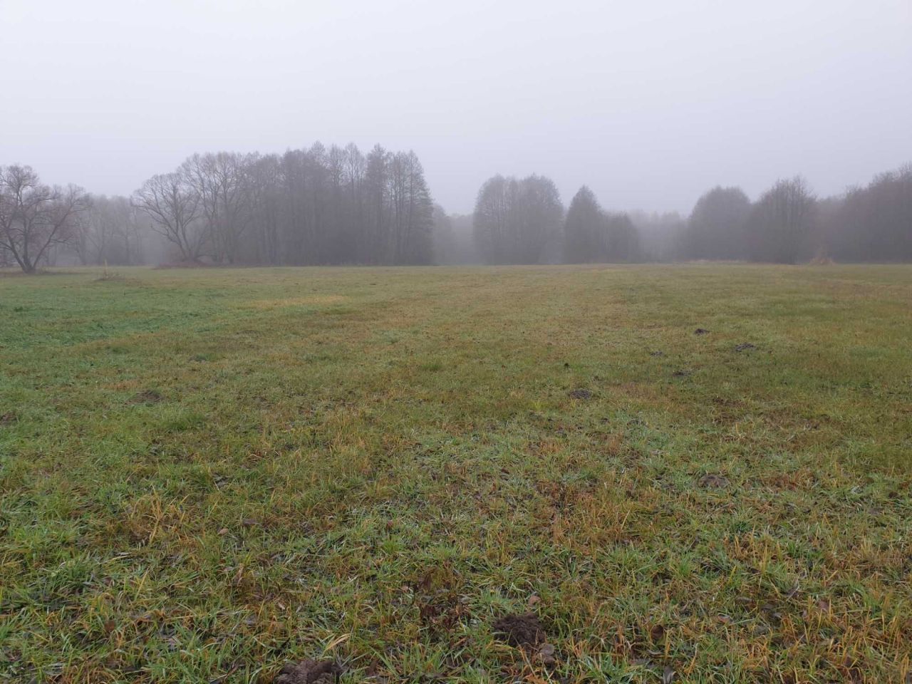 Działka rolna Seroczyn, ul. Słoneczna. Zdjęcie 4