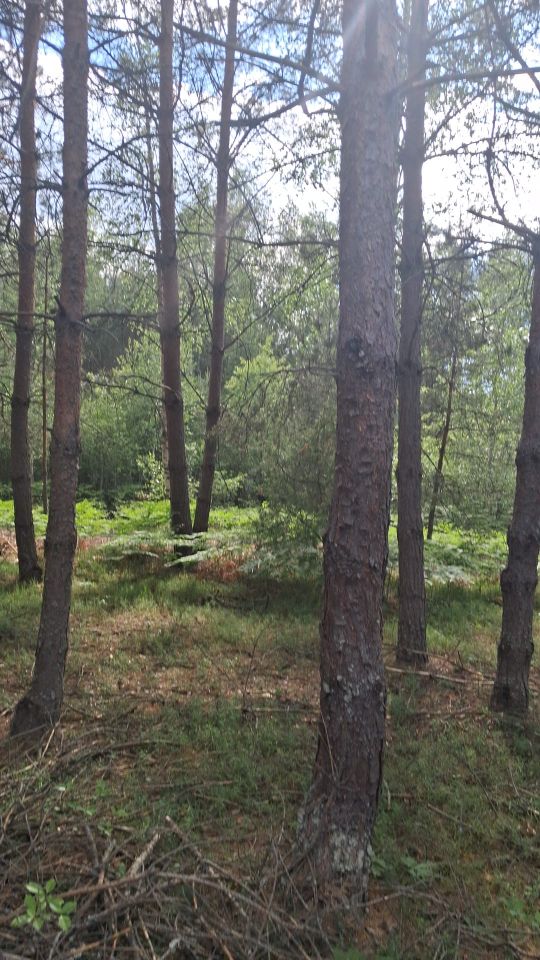 Działka rekreacyjna Karolówka. Zdjęcie 4