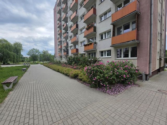 Mieszkanie 3-pokojowe Poznań Nowe Miasto, ul. Krańcowa. Zdjęcie 48