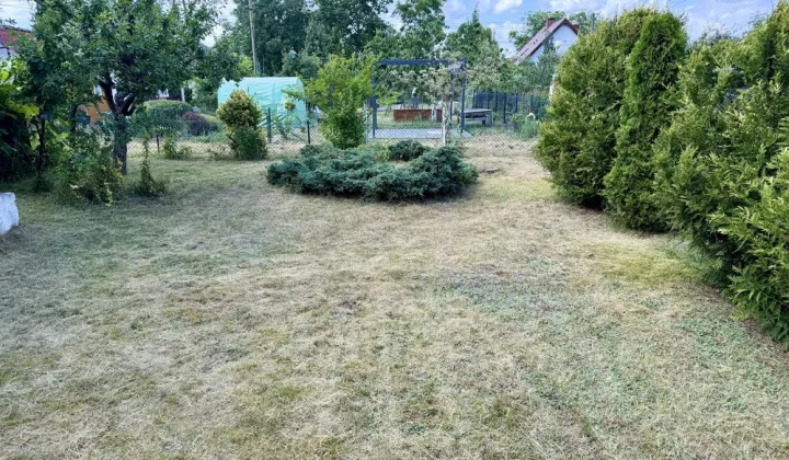 Działka rod Zielona Góra, ul. Łużycka