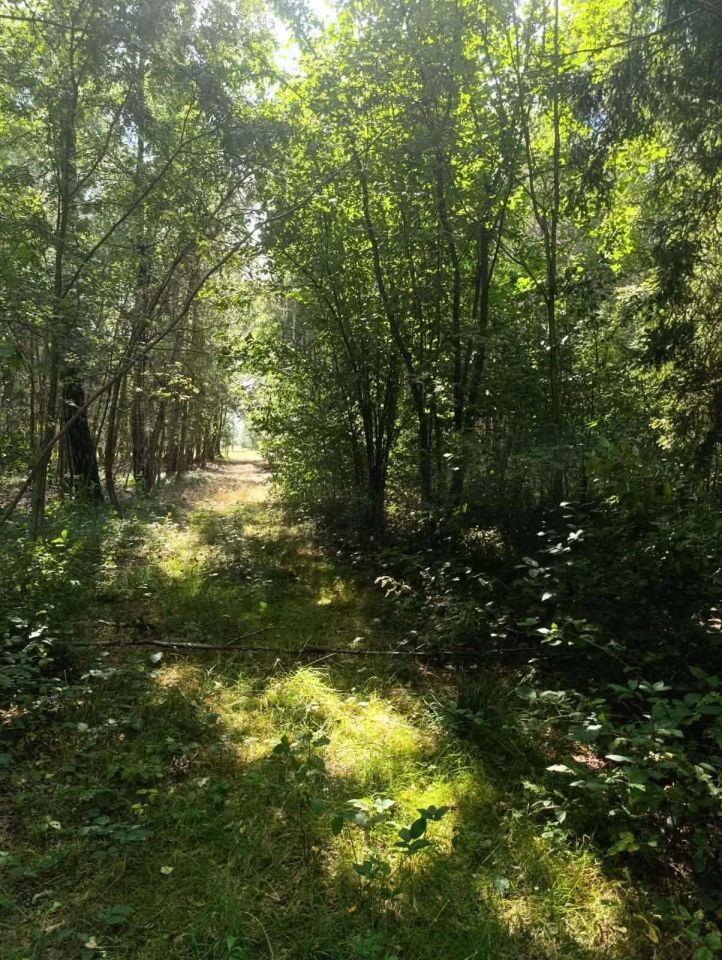 Działka siedliskowa Siedlików. Zdjęcie 3