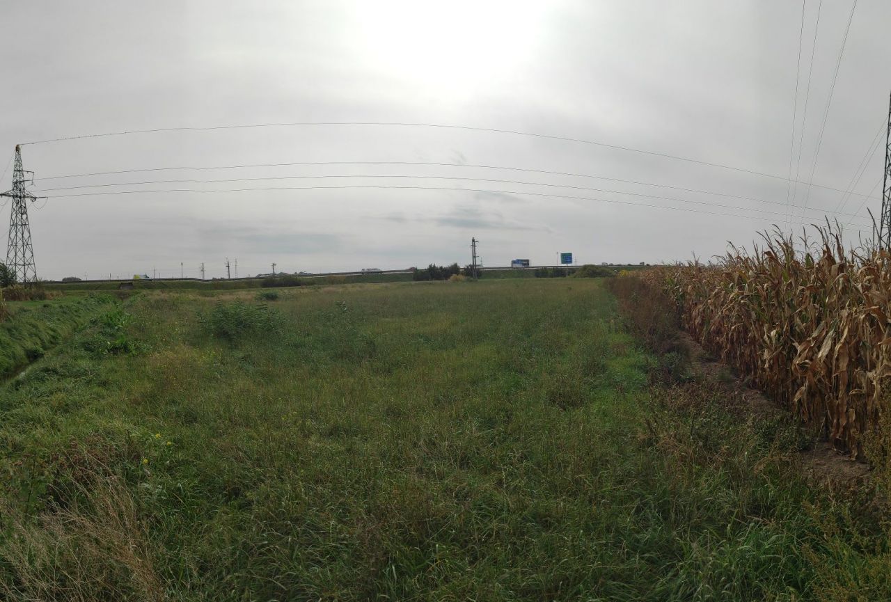 Działka rolna Gołuski. Zdjęcie 6