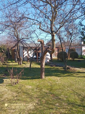 Działka rod Gdynia Babie Doły, ul. Zielona. Zdjęcie 1