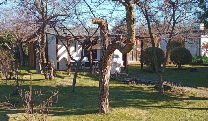 Działka rod Gdynia Babie Doły, ul. Zielona