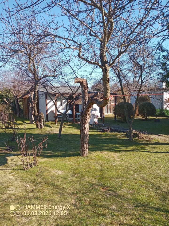 Działka rod Gdynia Babie Doły, ul. Zielona. Zdjęcie 1