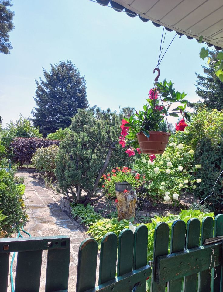 Działka rod Konin Wilków, ul. Świętojańska. Zdjęcie 11