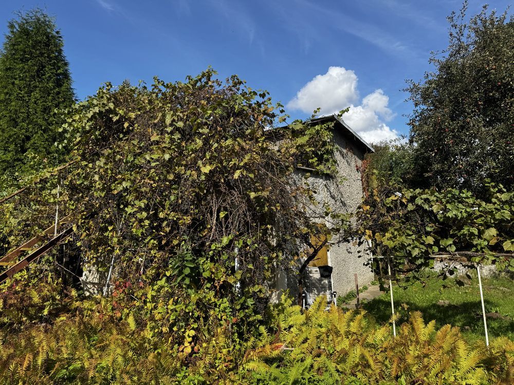 Działka rod Ziemnice, ul. Legnicka. Zdjęcie 4