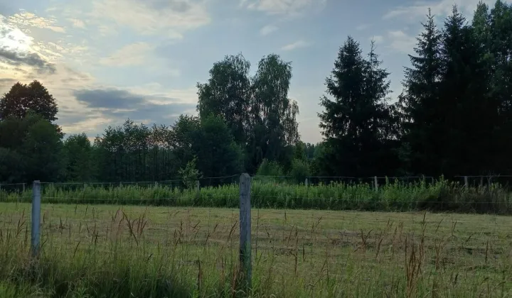 Działka budowlana Chojnów