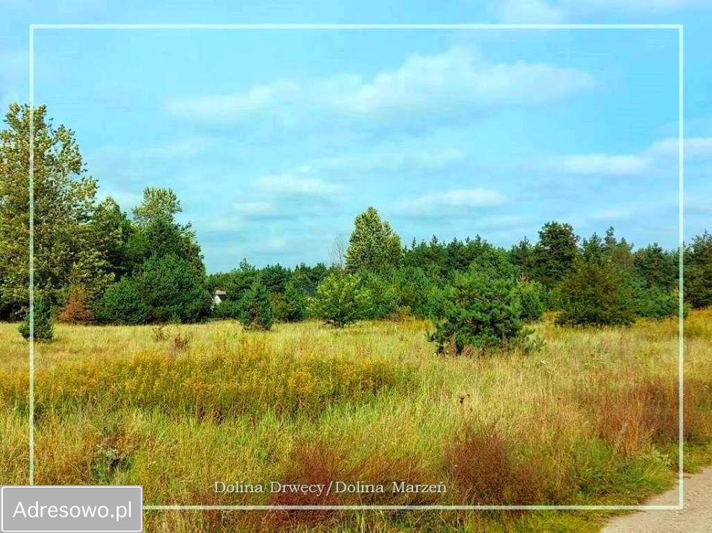 Działka budowlana Krobia, ul. Dolina Drwęcy. Zdjęcie 16