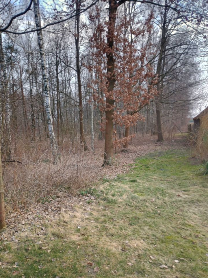 Działka Kończyce-Kolonia. Zdjęcie 5