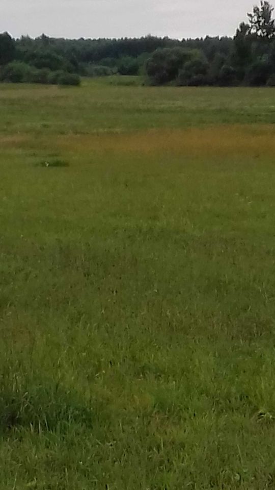 Działka siedliskowa Wierzchowisko. Zdjęcie 3