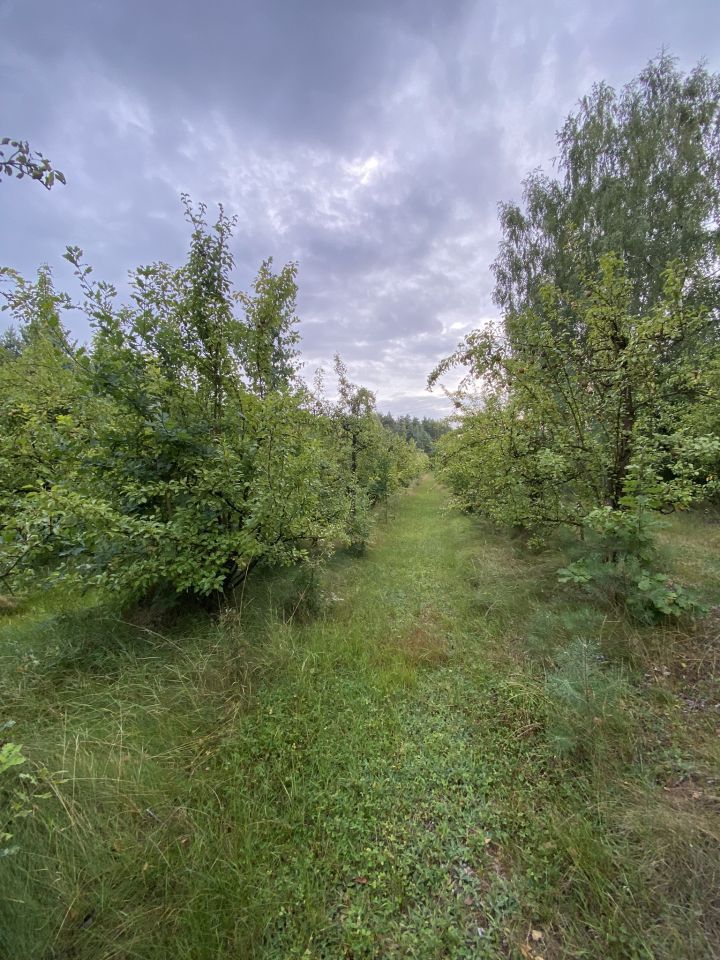 Działka rekreacyjna Klimczyce-Kolonia. Zdjęcie 2