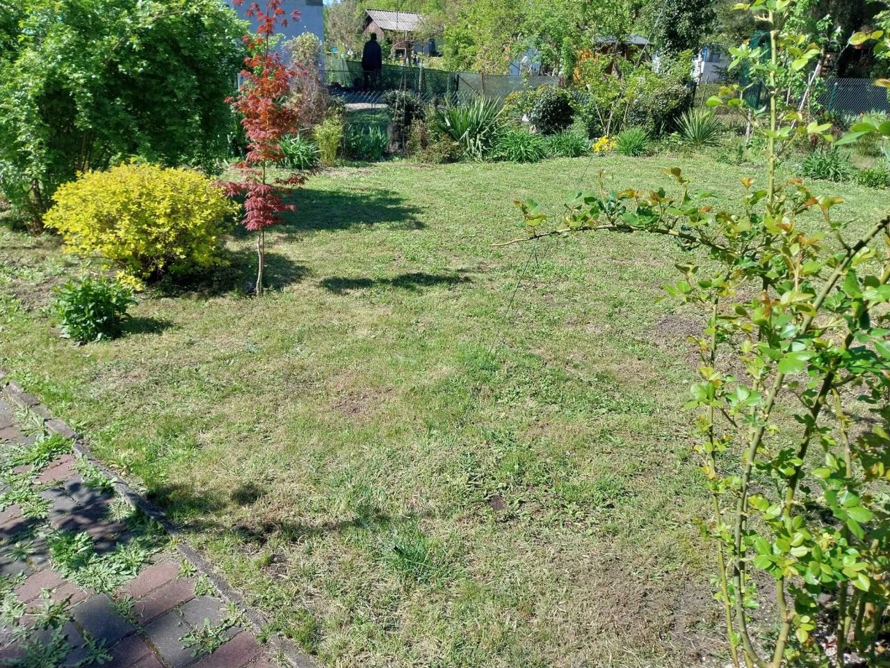 Działka rod Warszawa Włochy. Zdjęcie 8