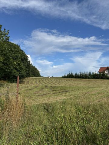 Działka budowlana Trygort. Zdjęcie 1