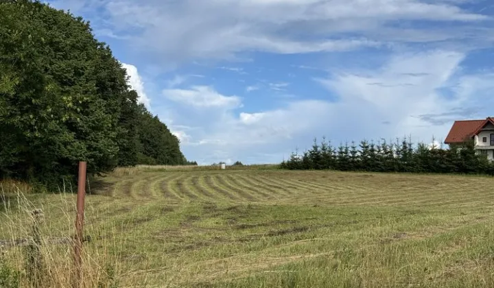 Działka budowlana Trygort