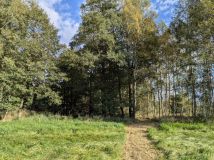 Działka rolna Błażkowa, Błażkowa. Zdjęcie 4