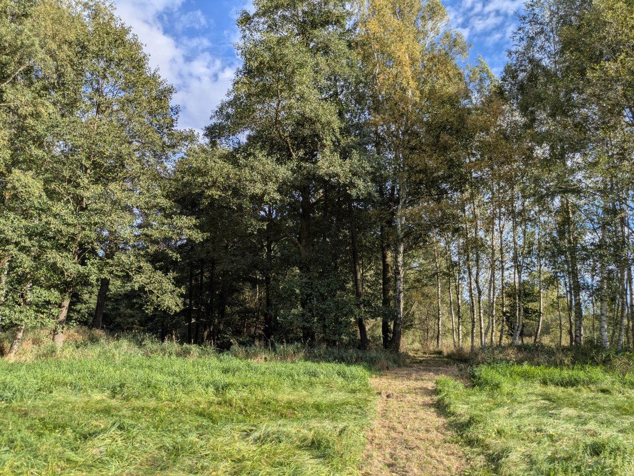 Działka rolna Błażkowa, Błażkowa. Zdjęcie 5